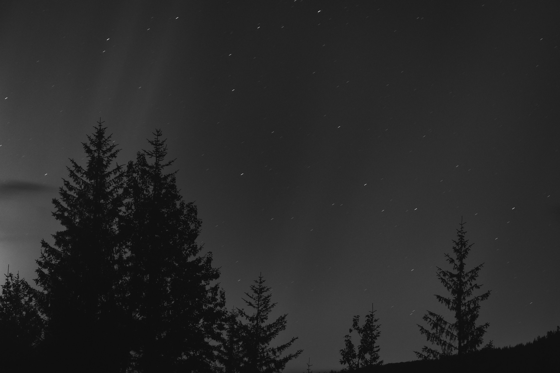Northern Lights 2